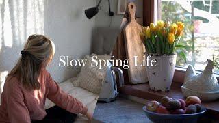 Slow Spring Life in a Small Town  Cooking and DIYs  Northern Europe