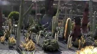 Lanzarote Jardin de cactus - Kaktusgarten Video