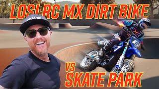 LOSI RC MX DIRT BIKE vs SKATE PARK