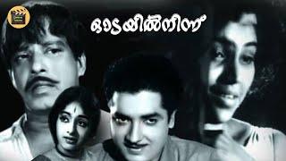 ODAYIL NINNU  Malayalam Golden movie Ft Sathyan  Premnazir  K.R.Vijaya Central Talkies