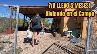 ELEGÍ vivir en el CAMPO ‍ ¡Ya llevo 5 meses de aciertos y “ERRORES”