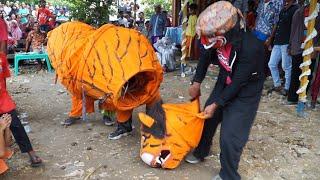 W0WW... MACAN TARUNGAN  BUROK CINTA NADA BUDAYA SHOW SEKARDOJA 27012022