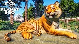 Planet Zoo  Ep. 1  Zoo Building & Management Simulator Planet Zoo Gameplay