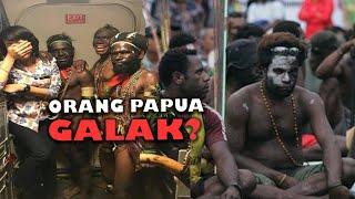 Banyak Orang Indonesia Salah Menilai Papua  Mitos Atau Fakta