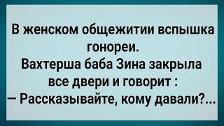 В Женском Общежитии Вспышка Гонореи Сборник Свежих Анекдотов Юмор