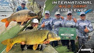 Gábor Döme – Big Carp Fishing on Lake Tisza IWCC 2023