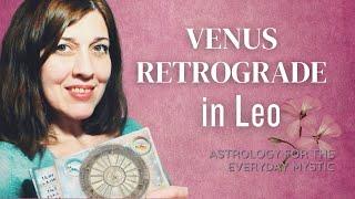 Venus in Leo Retrograde- Transits 2023