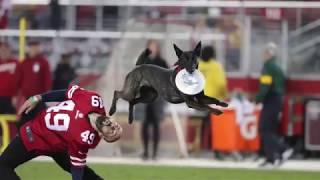 Extreme Dogs Halftime Dog Show