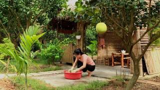 Grow Potatoes with Natural Sounds Cook Traditional Braised Carp with Pickled Mustard Greens