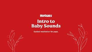 Pups intro to sounds of baby.​