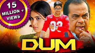 Dum HD - साउथ की ज़बरदस्त कॉमेडी फिल्म Allu Arjun Brahmanandam Genelia DSouza Manoj Bajpayee