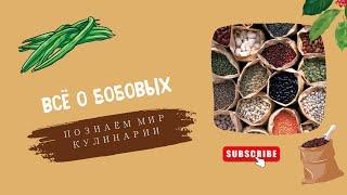 Всё о бобовых. Познаём мир кулинарии.