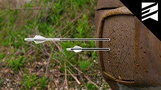 Speed Vs Weight Which Arrow Set Up Is More DEADLY?