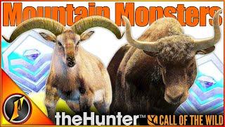 Mountain Monsters  On the Hunt for Snow Leopards  theHunter Call of the Wild