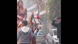 Indian Girl horse ride भारतीय महिला घुड़सवार #horse #horses #horselover #horseriding #shorts #ghoda