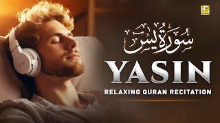Peaceful Quran Recitation of Surah Yasin Yaseen سورة يس  SOFT VOICE  Zikrullah TV