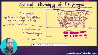 Tumors of the Esophagus Part 01