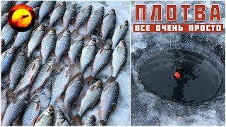 Roach fishing in winter  Roach Biting on the float  Winter fishing 2019