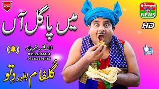 #FunnyVideo  New Funny Videos  Main Pagal Haan  Pendu News