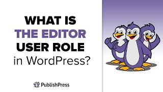 What is the Editor User Role in WordPress?