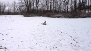 St Patricks Sledding