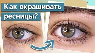 Окрашивание ресниц краской  Как сделать ресницы длиннее?