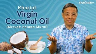 Khasiat Virgin Coconut Oil VCO 