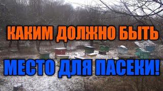 Каким должно быть место для пасеки.