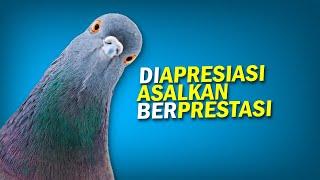 Burung Dara Musuh Bersama #AlamSemenit