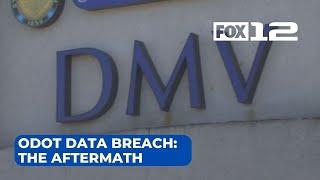 3.5 million Oregonians may be impacted by DMV data hack