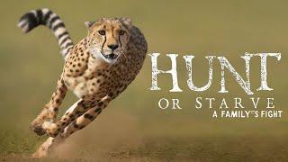 How Cheetahs Dominate as Africas Top Predators  Documentary TV