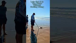 Getting A Stingray Back In The Ocean