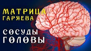 Матрица Гаряева Полная Очистка Сосудов Головы ️ Квантовое Исцеление Сосудов Звуком