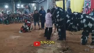 KUCINGAN MEMBUAT MACANAN NGAMUK JARANAN TURONGGO JATI MANUNGAL TERBARU LAMPUNG