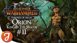 RE-CROWNING OUR KING  Orion #11  Total War WARHAMMER III