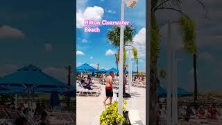 #clearwaterbeach #shorts #travel #hilton #resort #florida #poolside #floridalife