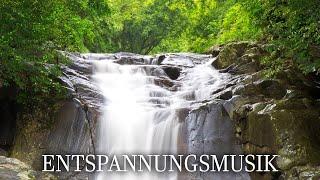 Zustand der Entspannung zu geleiten - Entspannungsmusik Natur mit Wald und Wasser