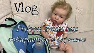 Vlog Снова истерика Лиама Собираемся с реборнами в деревню Мне тяжело Истерика РЕБОРНА ЛИАМА