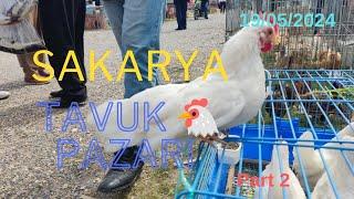 19052024 SAKARYA TAVUK  pazarı part 3