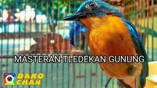 MASTERAN TLEDEKAN GUNUNG 1 JAM FULL HD