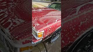 Tina Turner getting that good old bath....#texas #classiccars #handwash