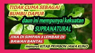 Tidak cuma sebagai bumbu daun ini mempunyai kekuatan supranatural jika di smpn 3 lmbr d bawah bntl