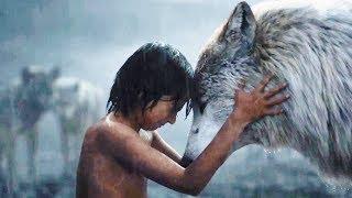 Книга джунглей  Jungle Book - приключенческий фильм Киплинг