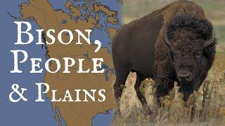 Bison People and Plains