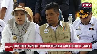 Gubernur Lampung  Diskusi Dengan UNILA dan Petani Di sawah