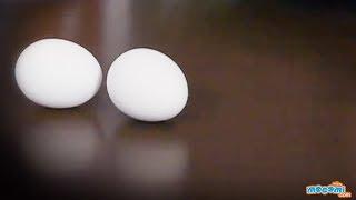 Raw and Boiled Egg Spinning - Cool Science Experiment  Educational Videos by Mocomi