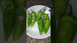 Bharwa Mirchi  Stuffed Chilli #shorts #bhrawamirchi #ytshorts