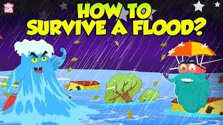 How To Survive Floods?  Preparing For A Flood  The Dr Binocs Show  Peekaboo Kidz