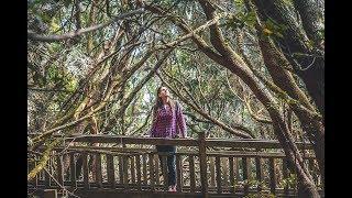 Cruz Del Carmen - The path of Senses  Exploring Tenerife #8