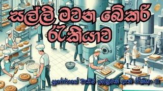 රුමේනියාවෙ බේකරියක පිටි අනන  ෆාමසි අයිතිකාරයා  Backery Job in Europe #jobs #backery #romania